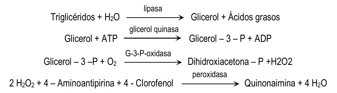 trigliceridos-inserto