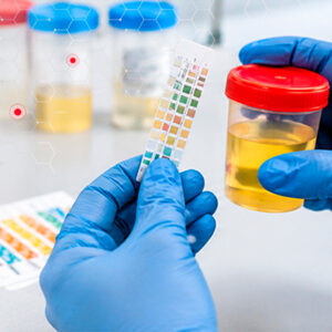 Toxicología